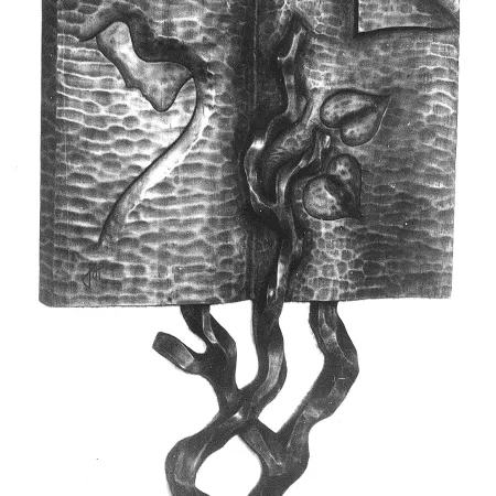 Kniha