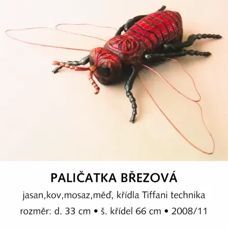 Paličatka březová