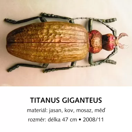 Titanus Giganteus