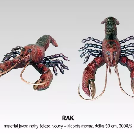 Rak