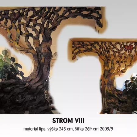 Strom VIII.