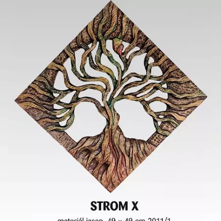Strom X