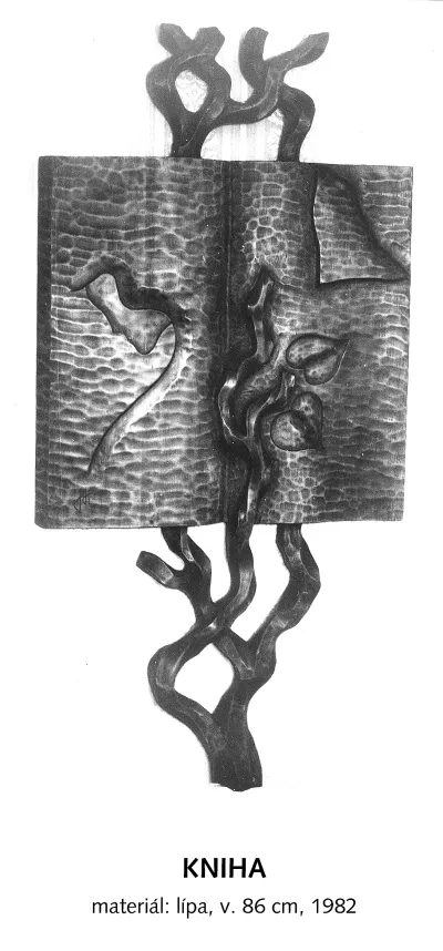 Kniha