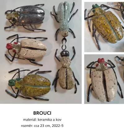 Brouci