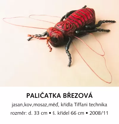 Paličatka březová